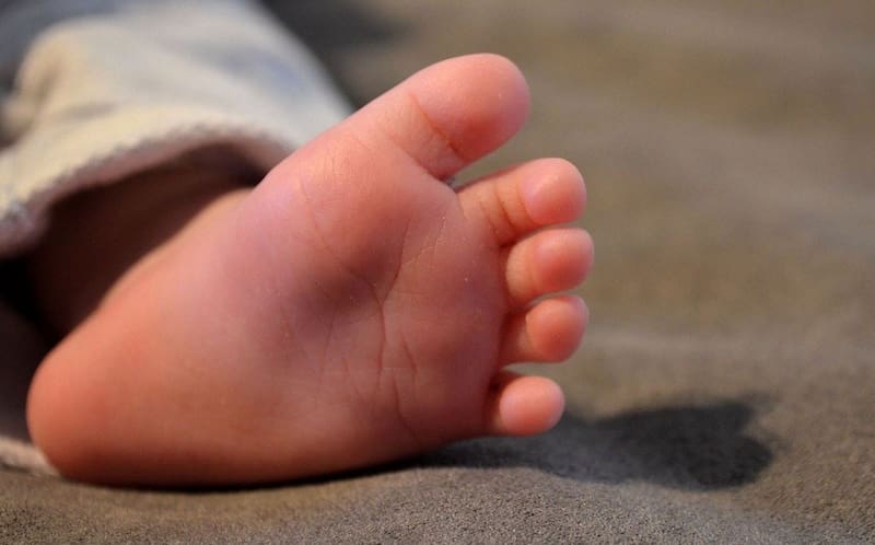 Consulta los detalles de este aporte. Créditos: Pixabay