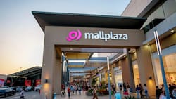 Descuentos de hasta 30%: Mallplaza implementa “Plan Turista” para argentinos que visitan Chile