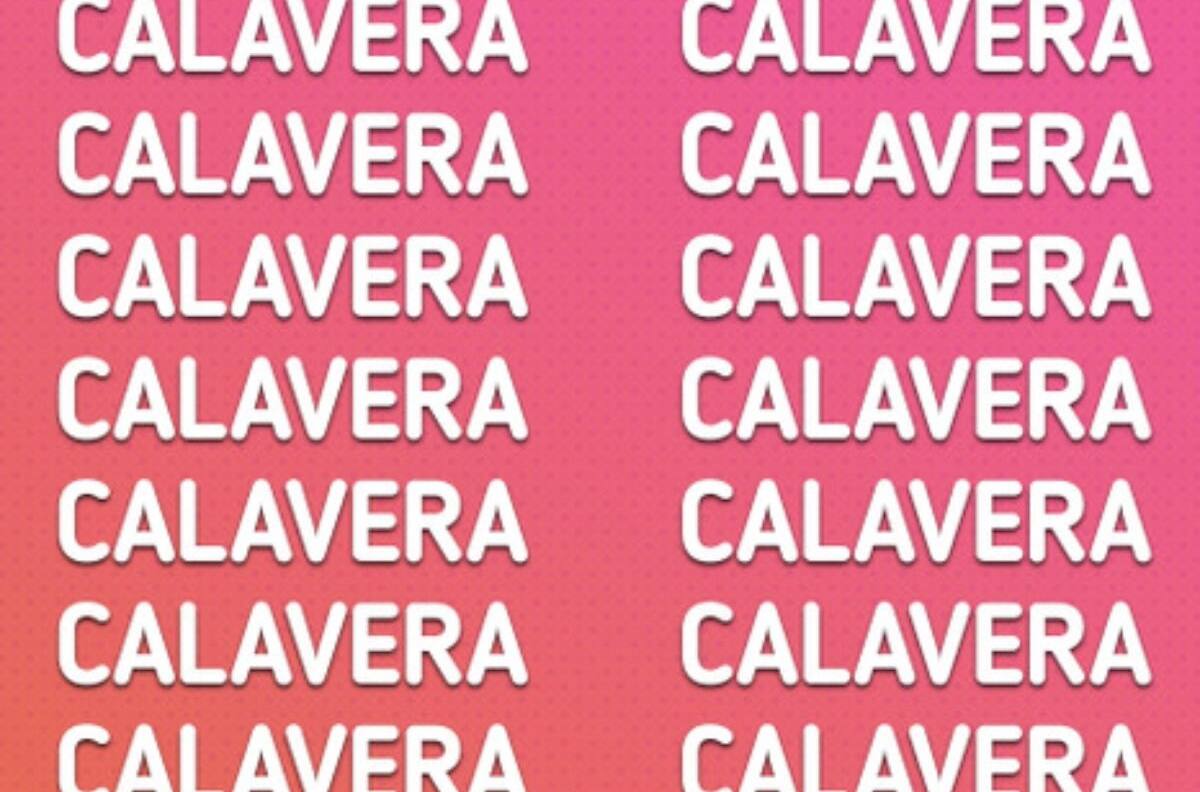 Test Visual: ¿Serás capaz de hallar la palabra CARABELA oculta en la imagen en menos de 10 segundos?