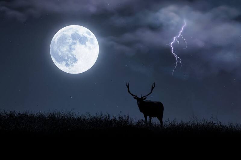 Se registrarán en los próximos días.