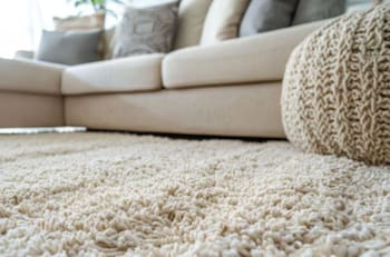 “Esto de verdad que es maravilloso”: El truco casero que te ayudará a quitar las manchas de tus alfombras