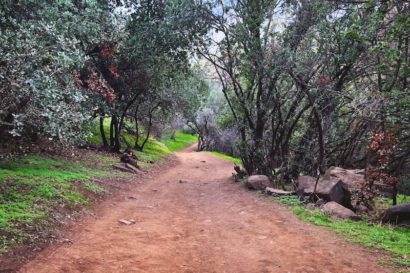 Un imperdible para visitar en familia en la Región Metropolitana. Créditos: Google Maps.