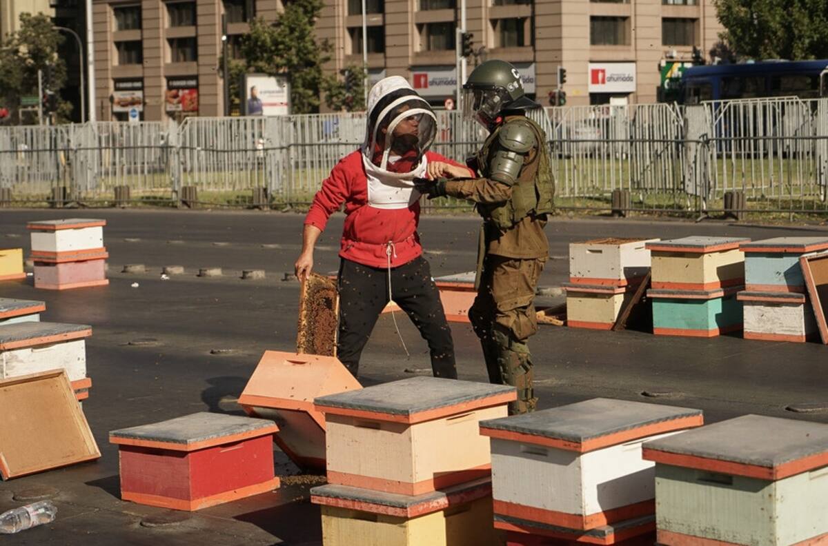 VIDEO | Apicultores realizaron protesta en centro de Santiago: pusieron 56 cajas con abejas en la Alameda