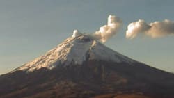 VIDEO | Erupción volcánica en Ecuador: El Volcán Cotopaxi lanza columnas de humo y ceniza