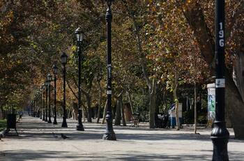 Niño de 1 año y 8 meses fue hallado esta madrugada deambulando solo en el Parque Forestal