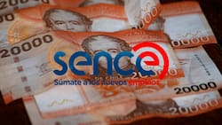 Revisa los siguientes Bonos Sence que te entregan hasta $600 mil
