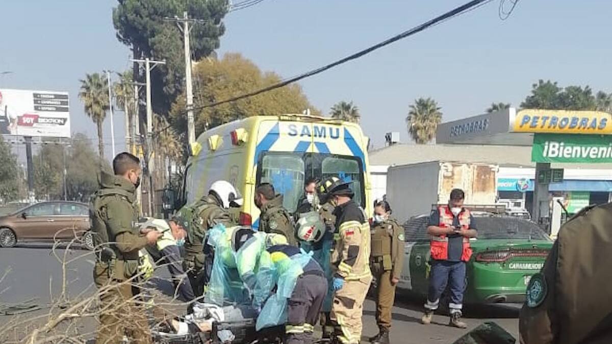Fallece asaltante atropellado por conductor del Transantiago: intentó robarle a pasajeros