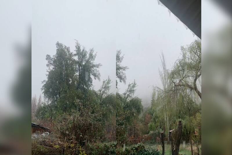 Nevadas registradas desde horas de la mañana.