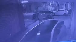 VIDEO | Con armas y extrema violencia: Pareja fue víctima de portonazo en comuna de Santiago