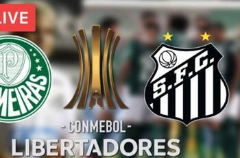 Facebook Watch transmitirá la final de Copa Libertadores entre Santos y Palmeiras