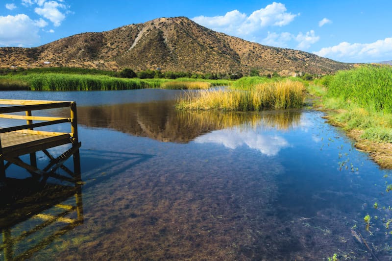 Uno de los santuarios más bellos para recorrer dentro de la Región Metropolitana. Créditos: Ladera Sur.