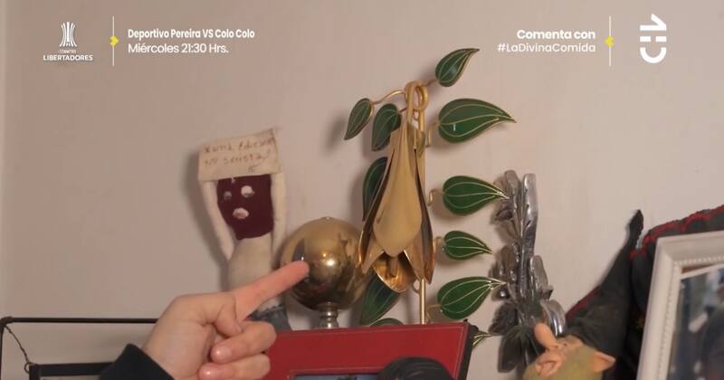 En su espacio de trabajo mantiene su Copihue de Oro / CHV