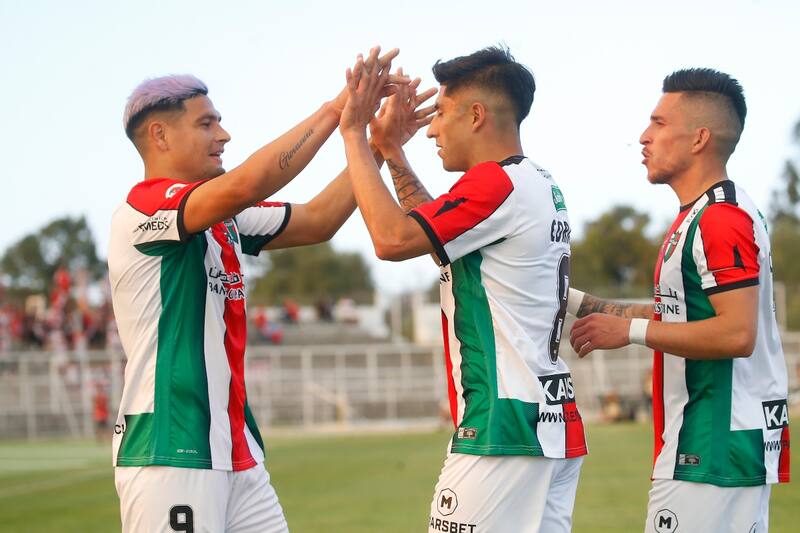 Palestino habría aceptado bajar el aforo para el duelo frente a Cobreloa.