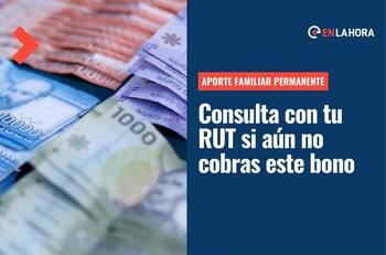 Aporte Familiar Permanente: Consulta con tu RUT si tienes pendiente los $50 mil de este aporte