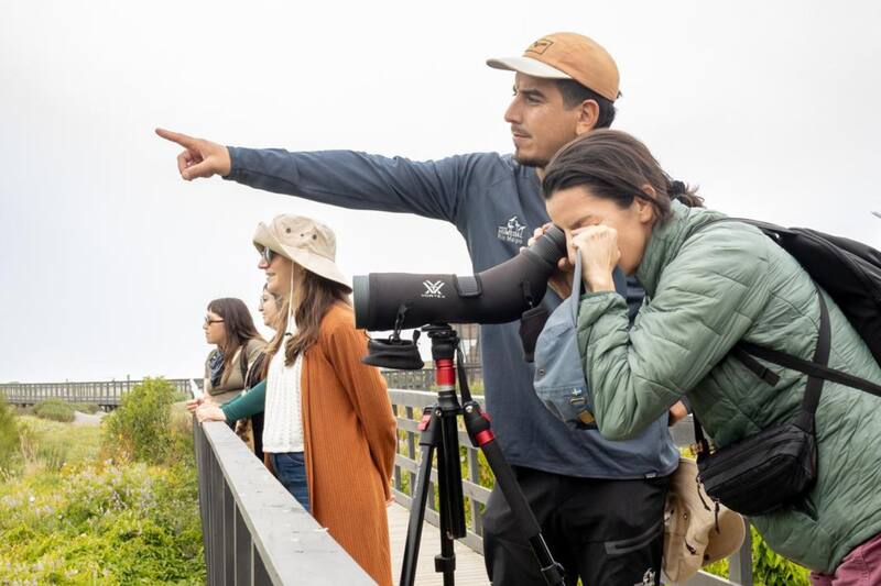 Son ideales para reconectar con la naturaleza en medio de la temporada de verano.
Créditos: @humedalriomaipo.