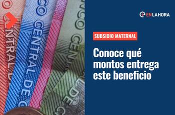 Subsidio Maternal: Revisa los montos que entrega este beneficio destinado a las madres trabajadoras