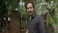 En la Comunidad Ecológica de Peñalolén: Así es la llamativa casa de Sebastián Longhi