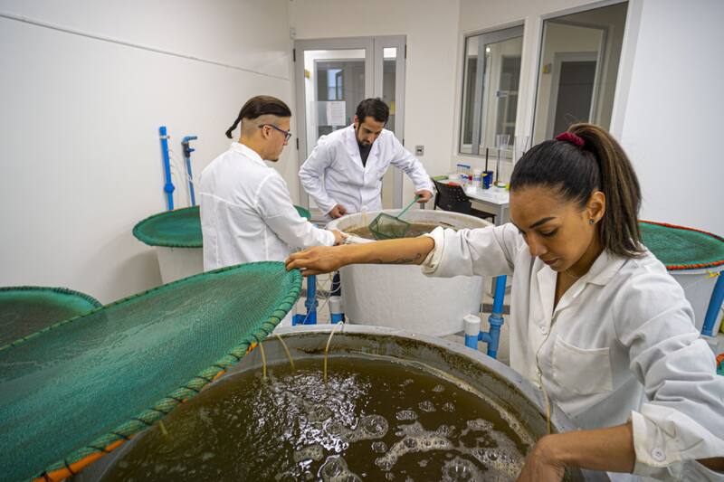 Una de las carreras que destaca Gemini es la de Técnico en Producción Acuícola.