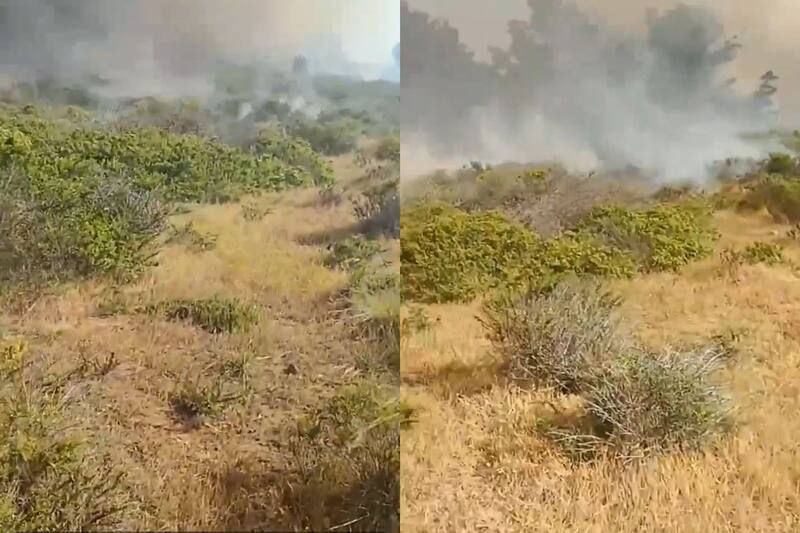 quedó captado en redes. Créditos: @alegriagonzaa.