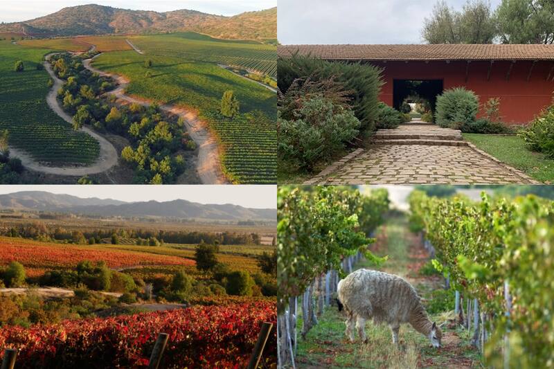 Compra tu ticket hacia la Viña TerraNoble.