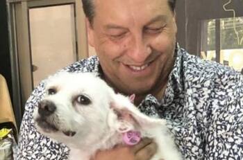 Casi muere de felicidad: El tierno recibimiento que tuvo Julio César Rodríguez de su perrita, Blanquita
