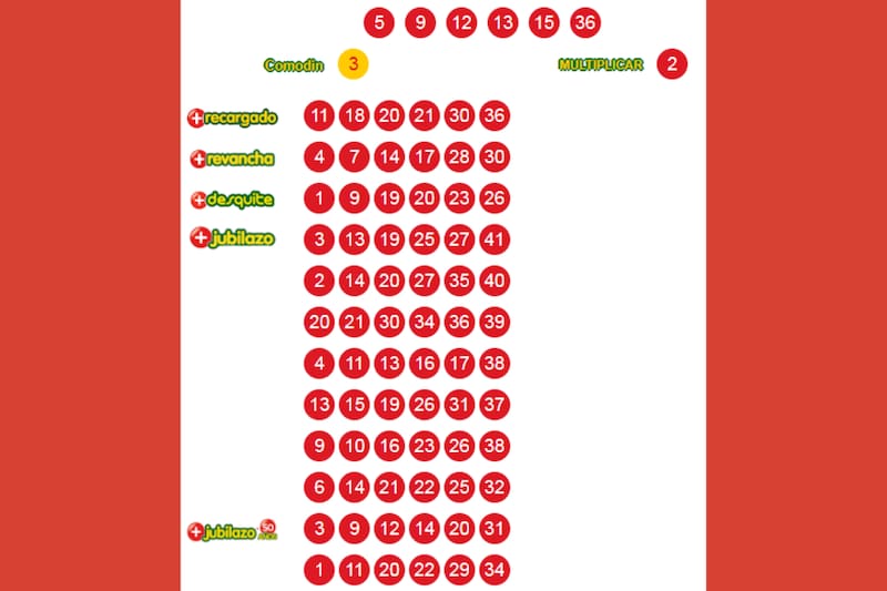 Estos fueron los números ganadores de este sorteo.