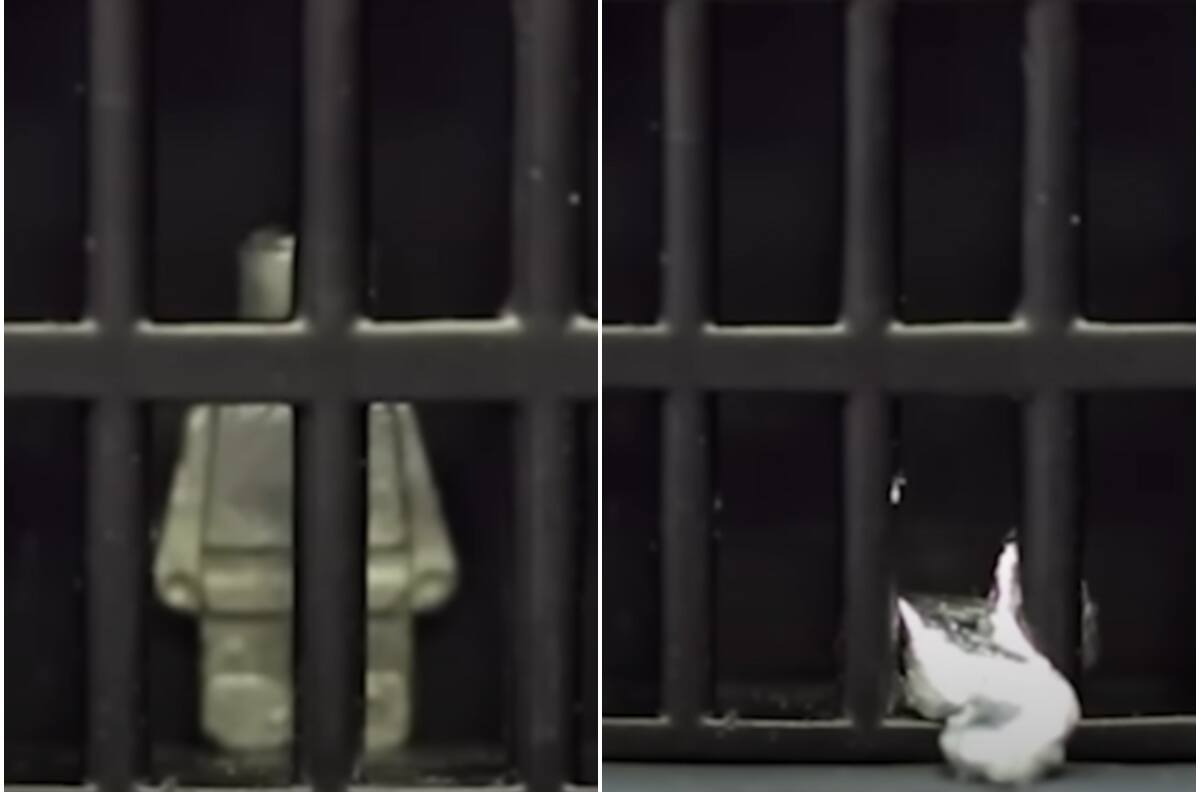 VIDEO | El futuro es hoy: Crean robot capaz de derretirse y regresar a su forma original