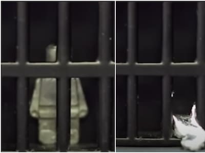 VIDEO | El futuro es hoy: Crean robot capaz de derretirse y regresar a su forma original