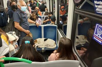 VIDEO | Durmiendo "a pata suelta": Sorprenden a pareja de perros viajando en asientos del Metro
