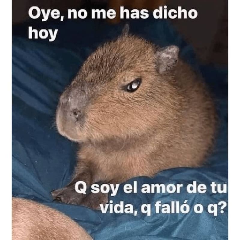 Expresa tu amor con esas imágenes.