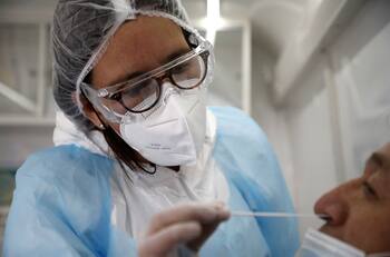 Más difícil de detectar por los PCR: variante Ómicron presenta un nuevo sublinaje