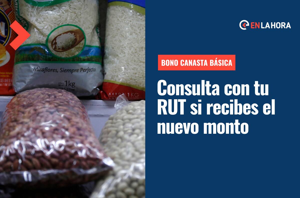 Bono Canasta Básica: Consulta con tu RUT si te corresponde el nuevo monto de este beneficio