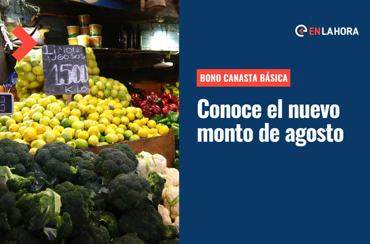 Bono Canasta Básica: Conoce el nuevo monto de agosto y cómo postular a este beneficio del Estado