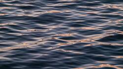 Cambio Climático: Olas de calor en el océano marcan nuevos récords mundiales