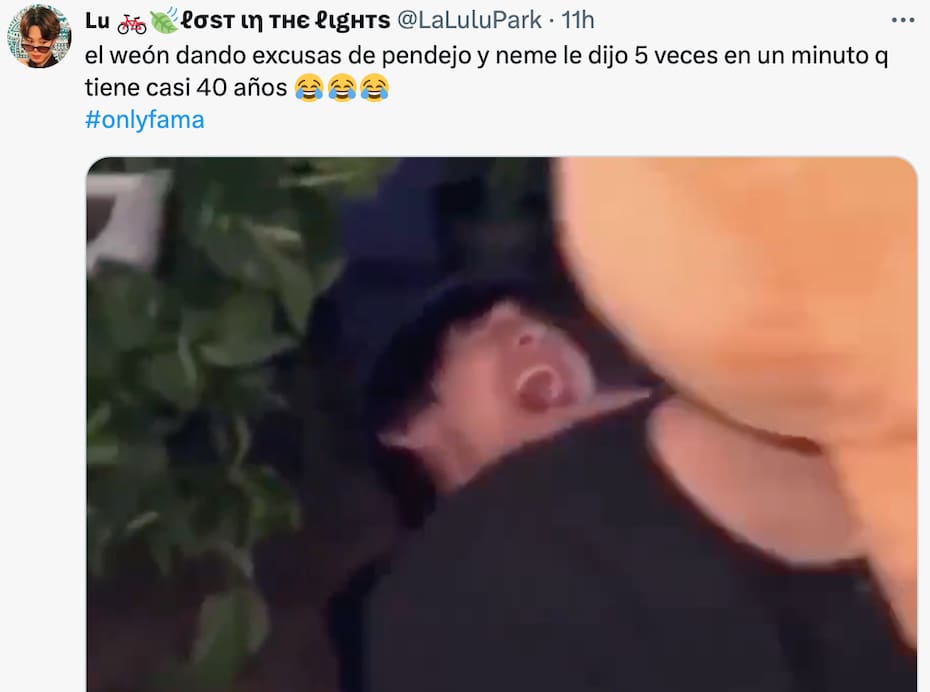 Los mejores memes.
