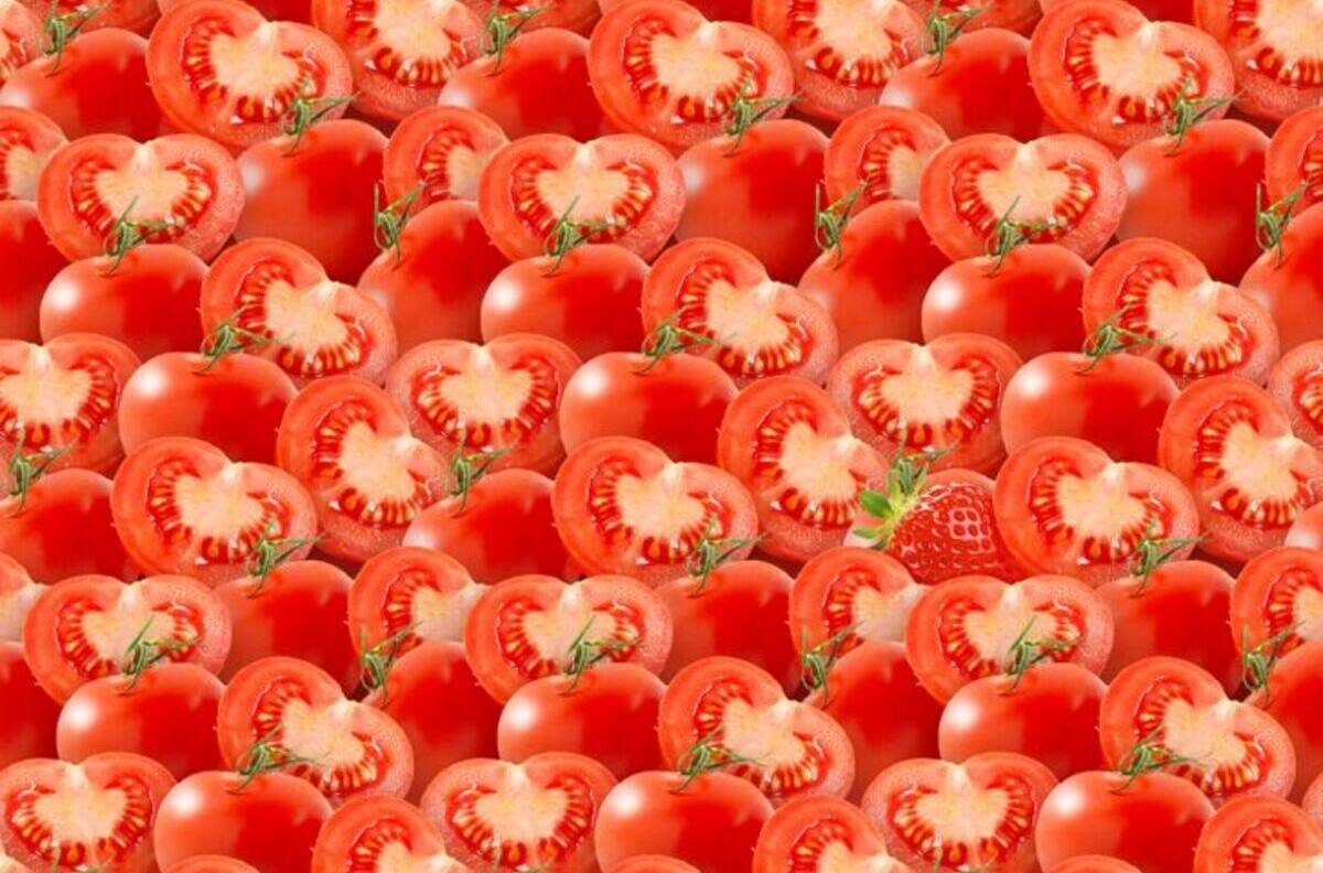 Acertijo visual: ¿Eres capaz de encontrar la frutilla entre los tomates?