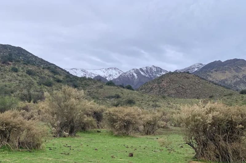 Inaugurado por la comuna de Lo Barnechea y la Asociación de Municipalidades Parque Cordillera.
Foto: Parque Las Hualtatas.