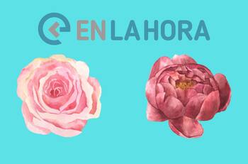 Test de personalidad: ¿Rosa o peonía? Elige y te diremos cómo eres y cómo te muestras ante el resto