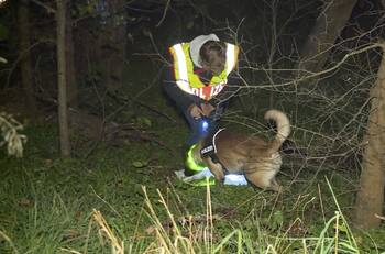 ¿Canibalismo?: Fiscalía alemana investiga asesinato que dejó solo los huesos de la víctima