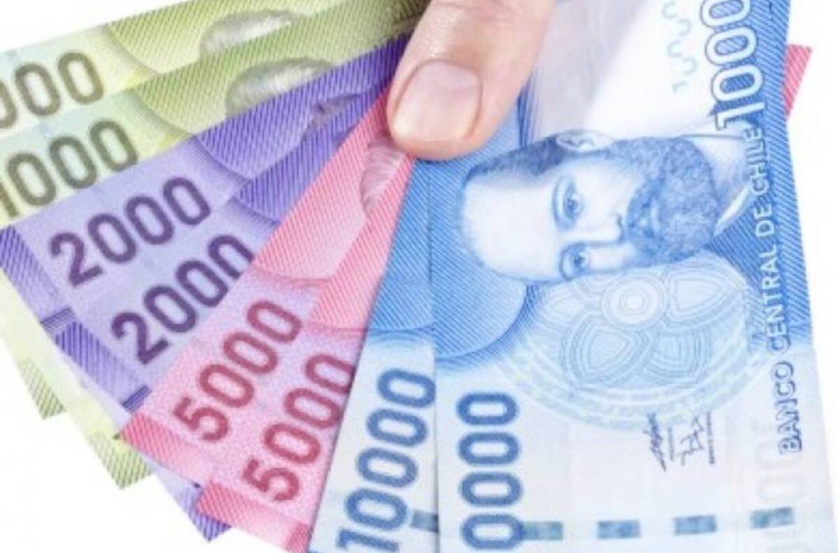 Préstamo Solidario Estatal: Cómo postular a través del SII
