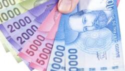 Préstamo Solidario Estatal: Cómo postular a través del SII