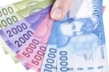 Préstamo Solidario Estatal: Cómo postular a través del SII