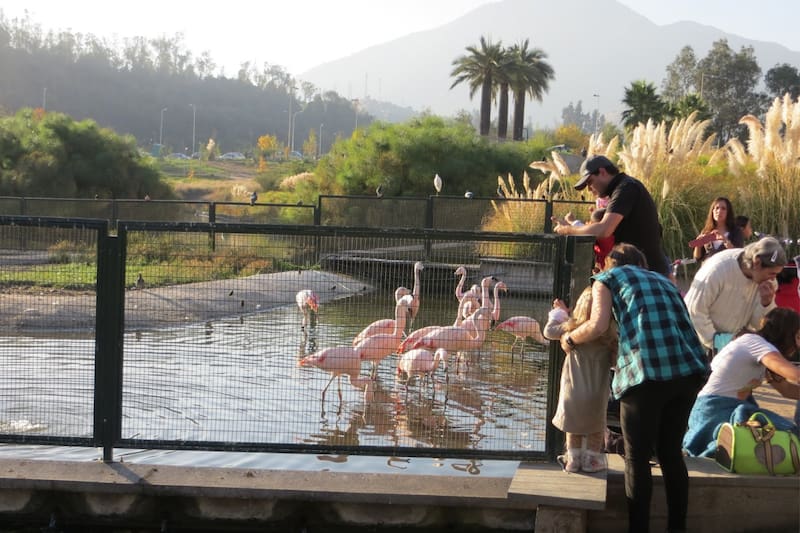 Foto: Santiago Espectaculoso.