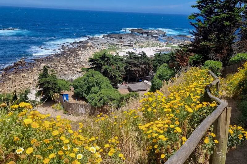 Se ubica en la comuna de Puchuncaví y tiene acceso gratuito.
Créditos: Google Maps.