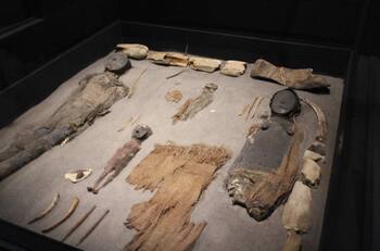 Momias Chinchorro fueron declaradas como "Patrimonio Mundial" por la Unesco