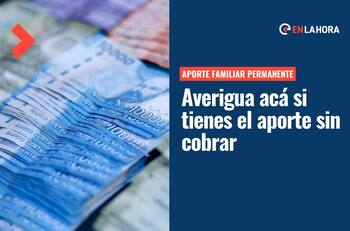 Aporte Familiar Permanente: Consulta con tu RUT si tienes el pago pendiente y qué monto es