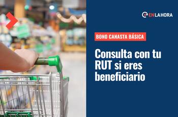 Bono Canasta Básica: ¿Cómo saber con mi RUT y fecha de nacimiento si recibo este beneficio?