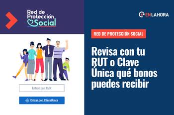 Red de Protección Social: ¿Qué es y qué beneficios puedo revisar con mi RUT o Clave Única?