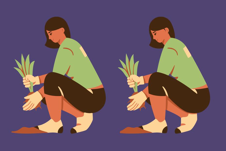 Busca las 5 diferencias y comprueba tus capacidades.