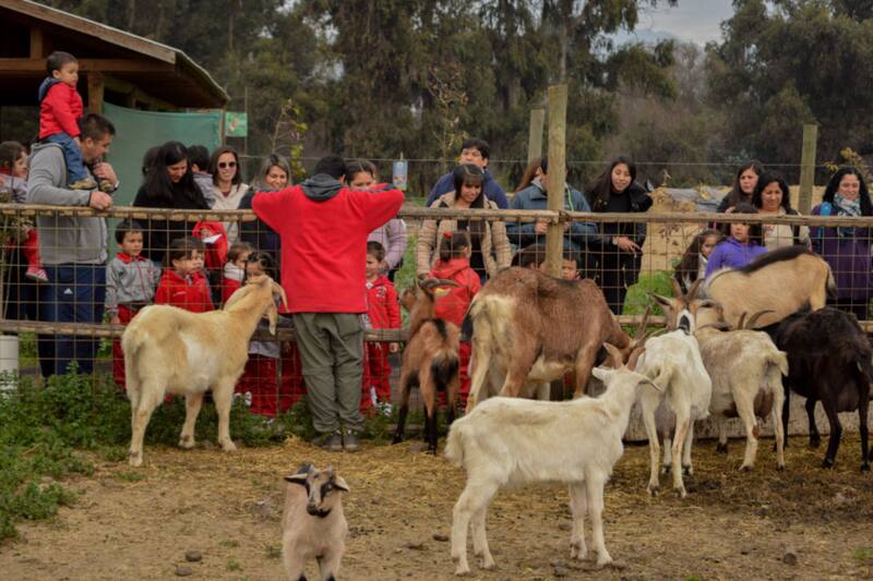 En el lugar, hay varias actividades educativas y recreativas para toda la familia.